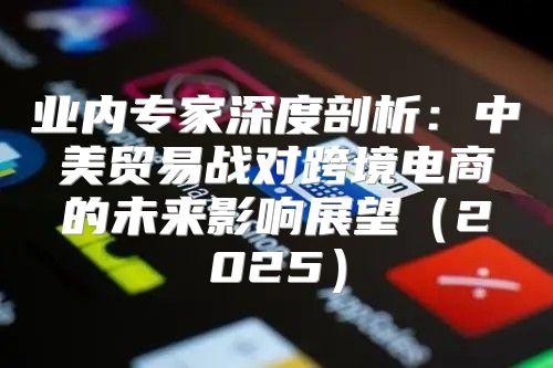 业内专家深度剖析：中美贸易战对跨境电商的未来影响展望2025