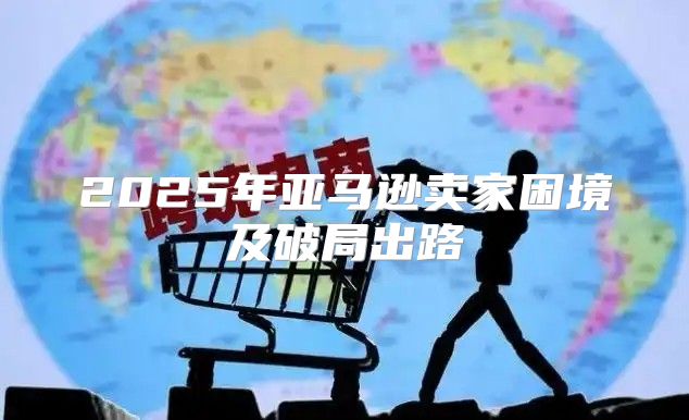 2025年亚马逊卖家困境及破局出路