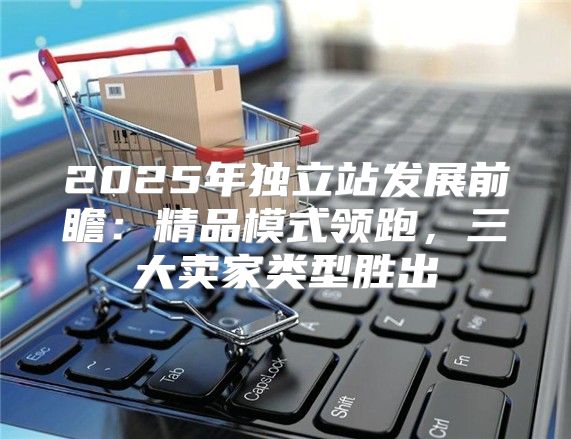 2025年独立站发展前瞻：精品模式领跑，三大卖家类型胜出