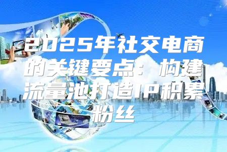 2025年社交电商的关键要点：构建流量池打造IP积累粉丝