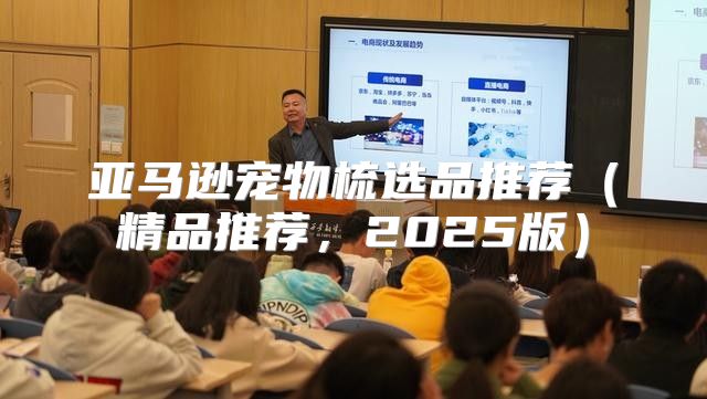 亚马逊宠物梳选品推荐精品推荐，2025版