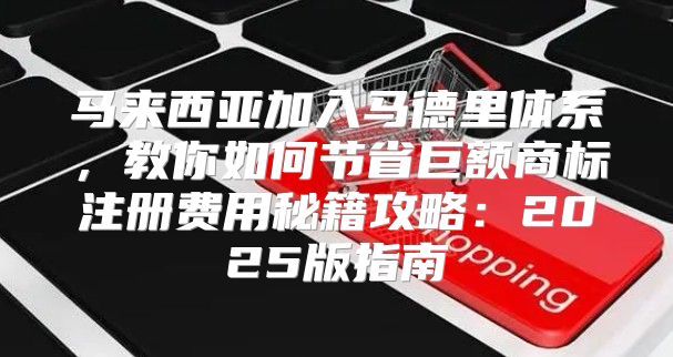 马来西亚加入马德里体系，教你如何节省巨额商标注册费用秘籍攻略：2025版指南