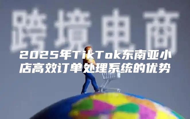 2025年TikTok东南亚小店高效订单处理系统的优势