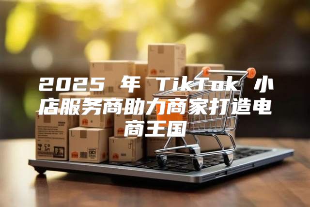 2025 年 TikTok 小店服务商助力商家打造电商王国