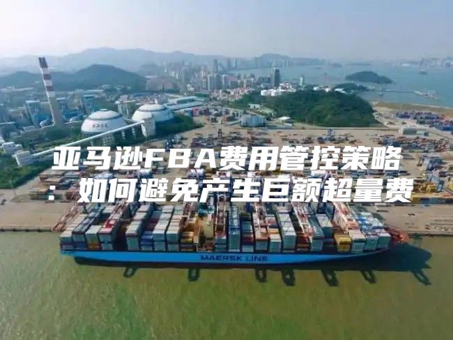 亚马逊FBA费用管控策略：如何避免产生巨额超量费