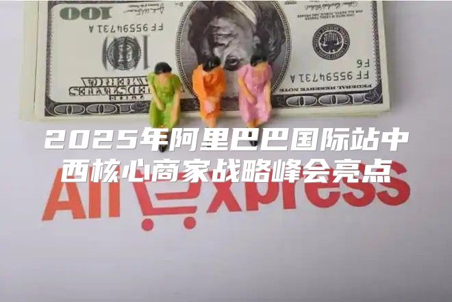 2025年阿里巴巴国际站中西核心商家战略峰会亮点