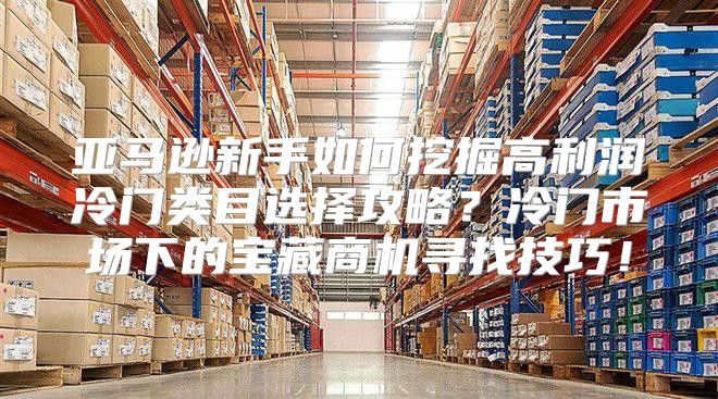 亚马逊新手如何挖掘高利润冷门类目选择攻略？冷门市场下的宝藏商机寻找技巧！