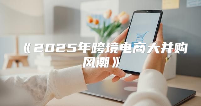 2025年跨境电商大并购风潮