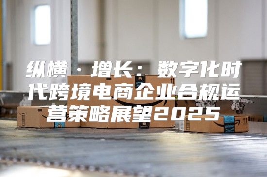纵横·增长：数字化时代跨境电商企业合规运营策略展望2025