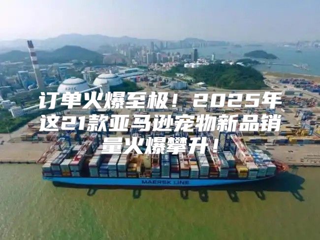 订单火爆至极！2025年这21款亚马逊宠物新品销量火爆攀升！