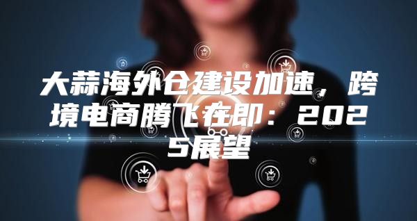 大蒜海外仓建设加速，跨境电商腾飞在即：2025展望