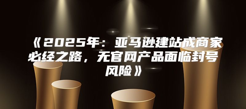 2025年：亚马逊建站成商家必经之路，无官网产品面临封号风险