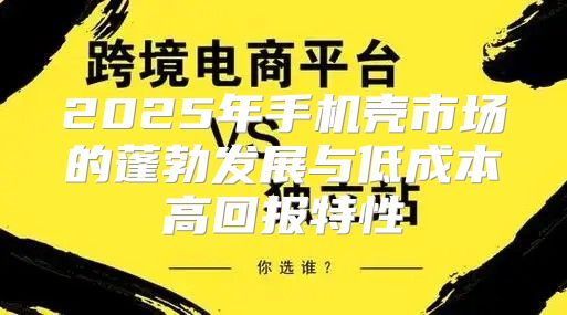 2025年手机壳市场的蓬勃发展与低成本高回报特性