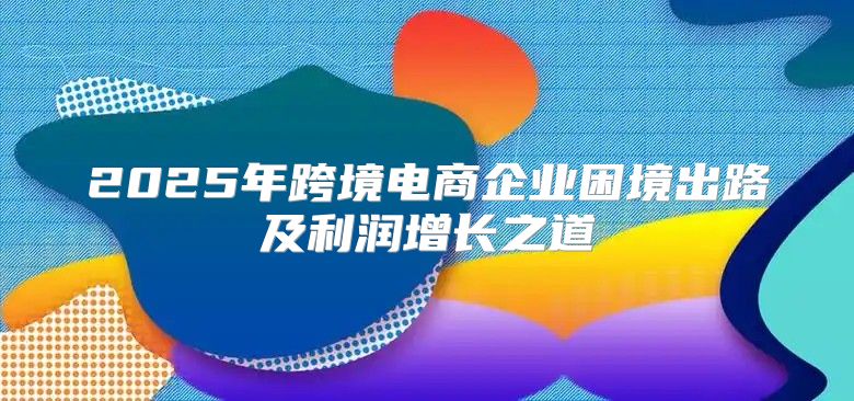 2025年跨境电商企业困境出路及利润增长之道