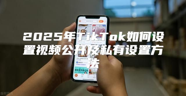 2025年TikTok如何设置视频公开及私有设置方法