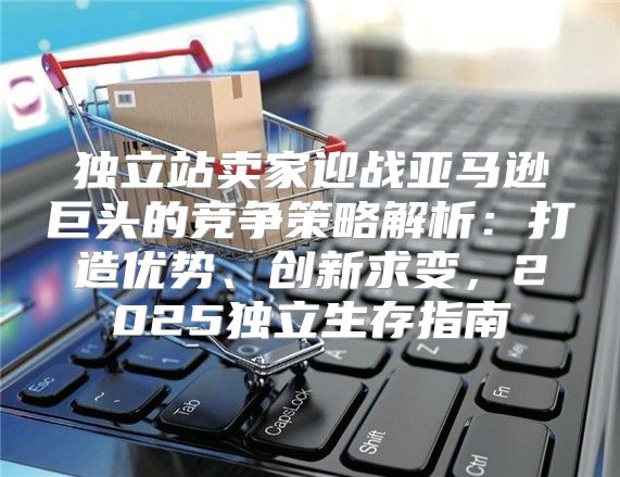 独立站卖家迎战亚马逊巨头的竞争策略解析：打造优势、创新求变，2025独立生存指南