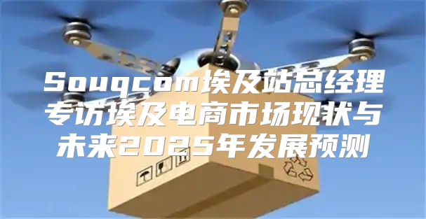 Souqcom埃及站总经理专访埃及电商市场现状与未来2025年发展预测