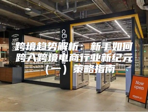 跨境趋势解析：新手如何跨入跨境电商行业新纪元一策略指南