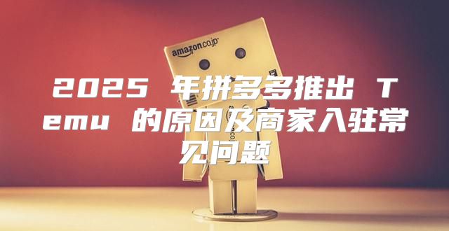 2025 年拼多多推出 Temu 的原因及商家入驻常见问题