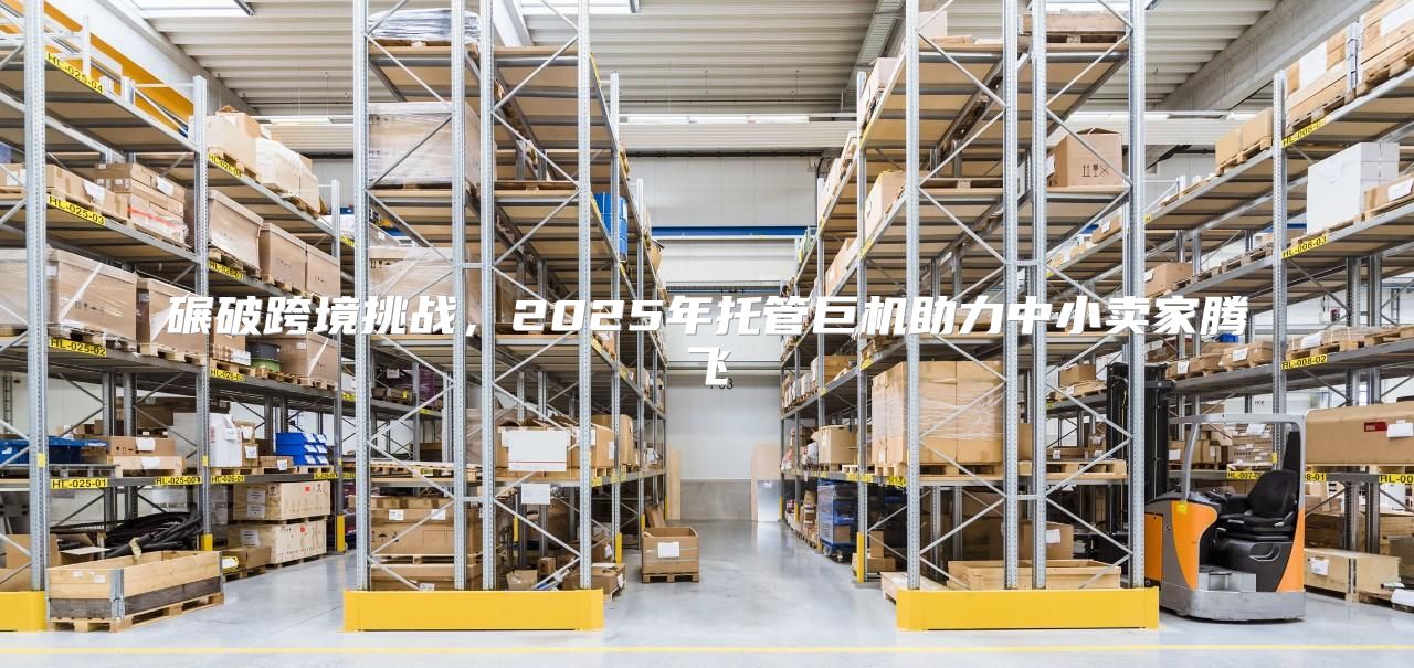 碾破跨境挑战，2025年托管巨机助力中小卖家腾飞