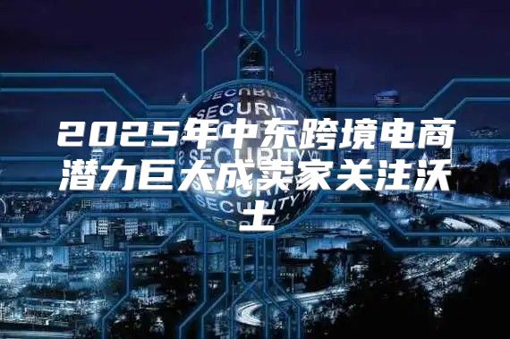 2025年中东跨境电商潜力巨大成卖家关注沃土