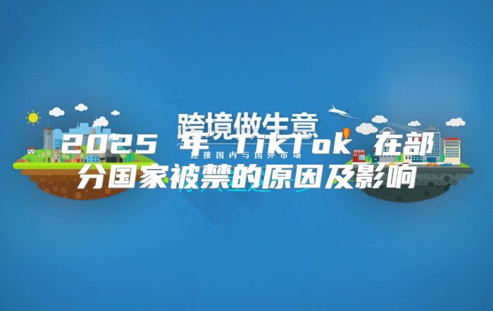 2025 年 TikTok 在部分国家被禁的原因及影响