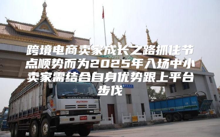 跨境电商卖家成长之路抓住节点顺势而为2025年入场中小卖家需结合自身优势跟上平台步伐