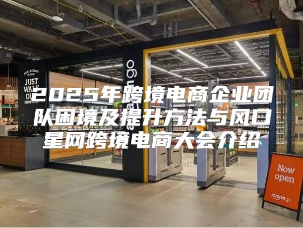 2025年跨境电商企业团队困境及提升方法与风口星网跨境电商大会介绍