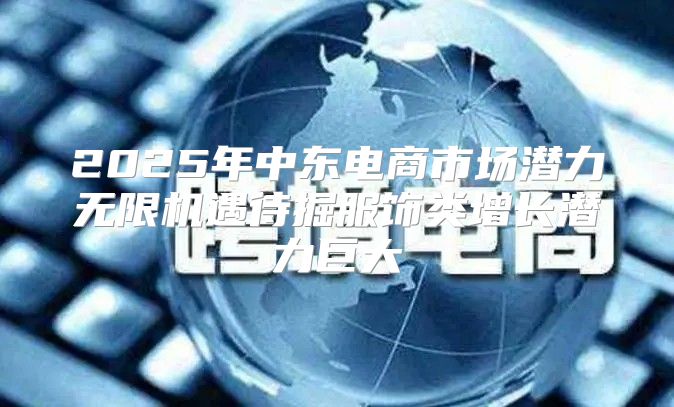 2025年中东电商市场潜力无限机遇待掘服饰类增长潜力巨大