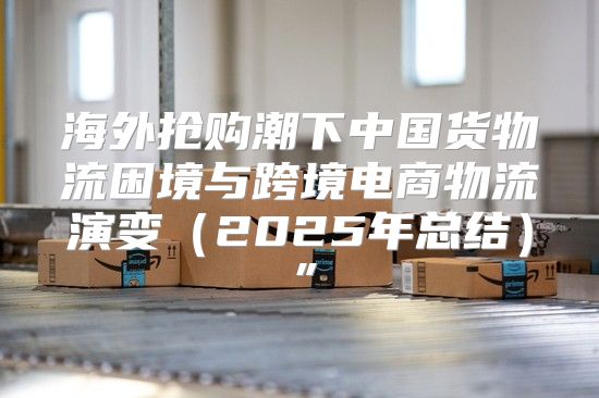 海外抢购潮下中国货物流困境与跨境电商物流演变2025年总结”