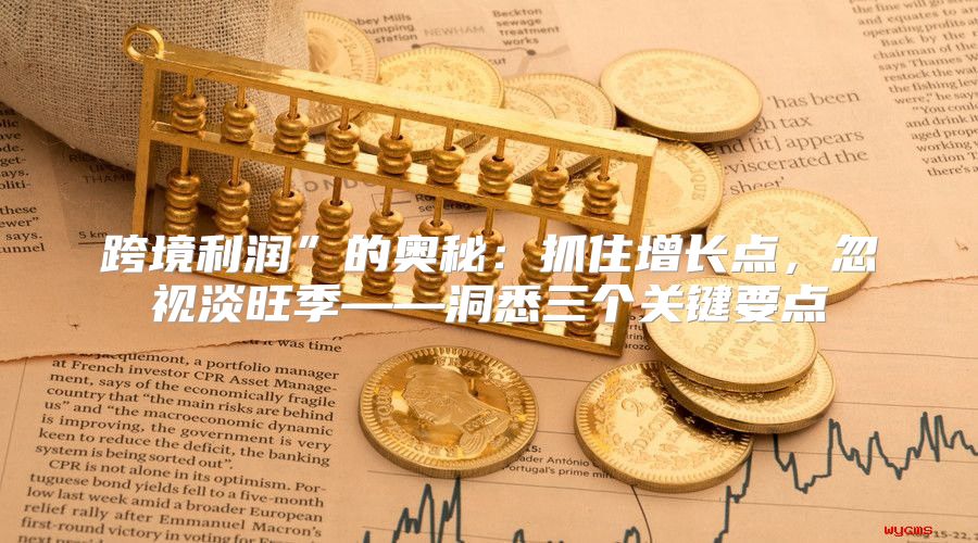 跨境利润”的奥秘：抓住增长点，忽视淡旺季——洞悉三个关键要点