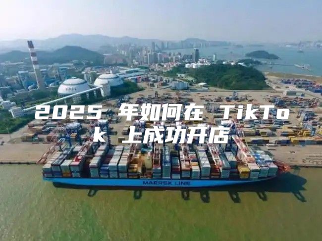 2025 年如何在 TikTok 上成功开店