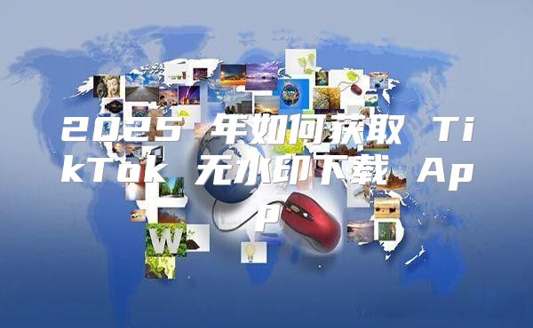 2025 年如何获取 TikTok 无水印下载 App
