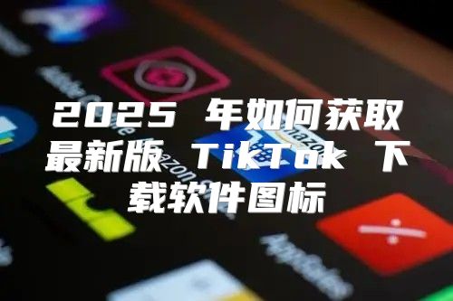 2025 年如何获取最新版 TikTok 下载软件图标