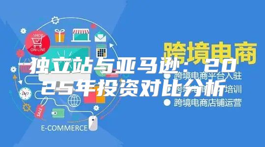 独立站与亚马逊：2025年投资对比分析