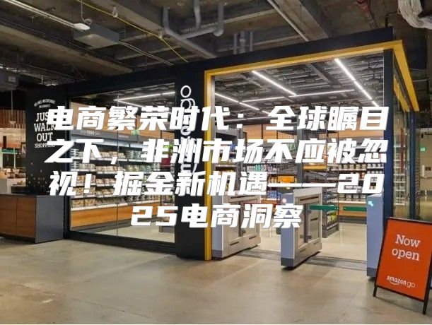 电商繁荣时代：全球瞩目之下，非洲市场不应被忽视！掘金新机遇——2025电商洞察