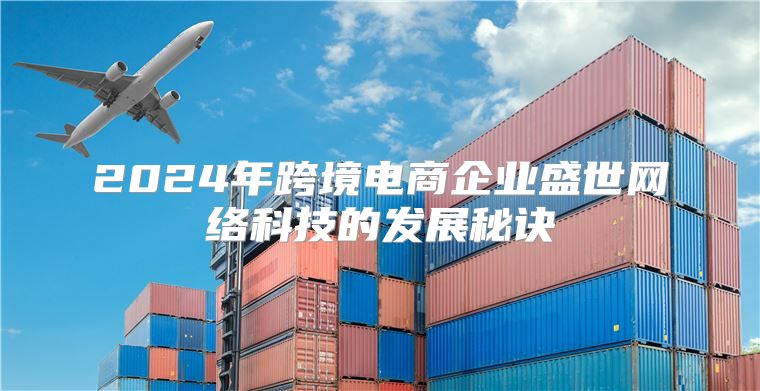 2025年跨境电商企业盛世网络科技的发展秘诀