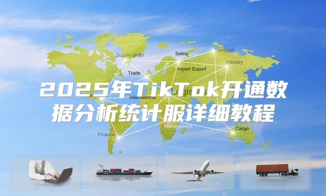 2025年TikTok开通数据分析统计服详细教程