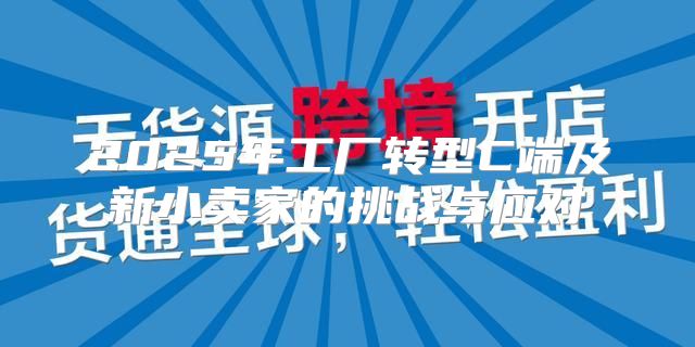 2025年工厂转型C端及新小卖家的挑战与应对