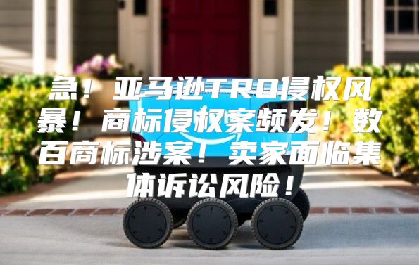 急！亚马逊TRO侵权风暴！商标侵权案频发！数百商标涉案！卖家面临集体诉讼风险！