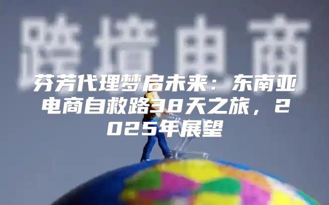 芬芳代理梦启未来：东南亚电商自救路38天之旅，2025年展望