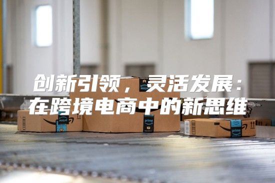 创新引领，灵活发展：在跨境电商中的新思维