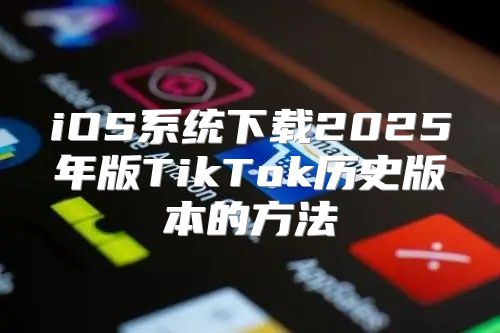 iOS系统下载2025年版TikTok历史版本的方法