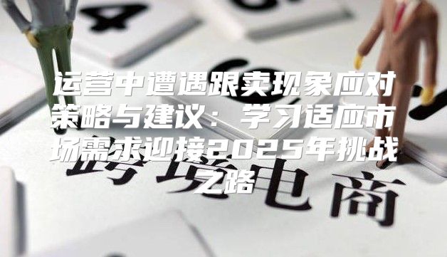 运营中遭遇跟卖现象应对策略与建议：学习适应市场需求迎接2025年挑战之路