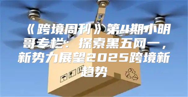 跨境周刊第4期小明哥专栏：探索黑五网一，新势力展望2025跨境新趋势