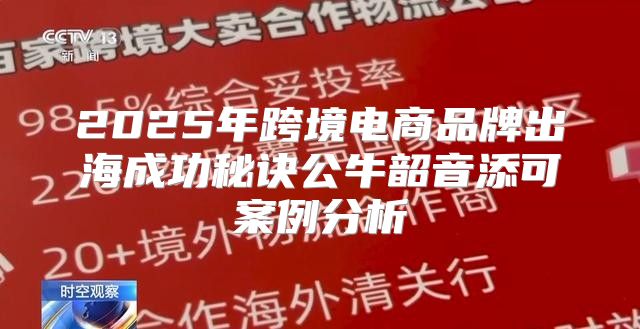 2025年跨境电商品牌出海成功秘诀公牛韶音添可案例分析