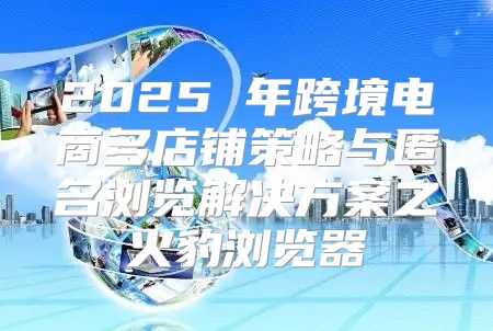 2025 年跨境电商多店铺策略与匿名浏览解决方案之火豹浏览器
