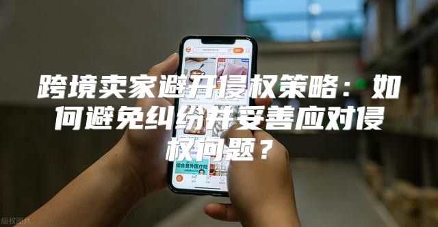 跨境卖家避开侵权策略：如何避免纠纷并妥善应对侵权问题？
