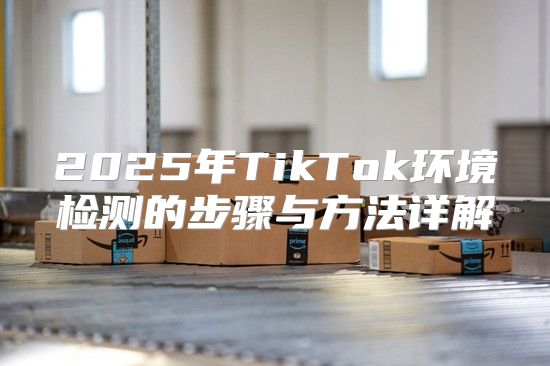 2025年TikTok环境检测的步骤与方法详解