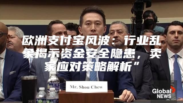 欧洲支付宝风波：行业乱象揭示资金安全隐患，卖家应对策略解析”